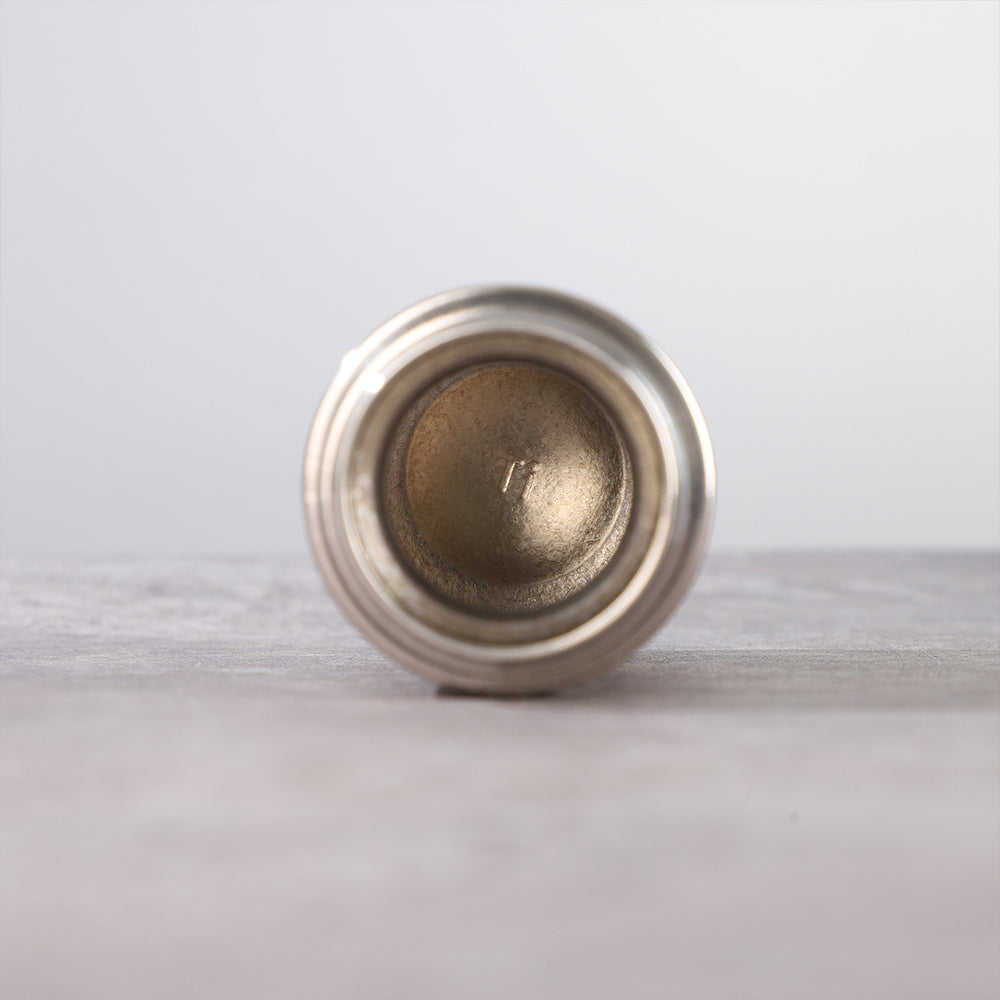 Titanium Water Bottle with Tea Infuser